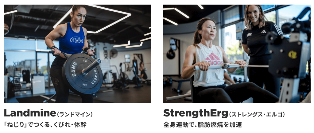 スクリーンショット 2026-01-20 15.20.55