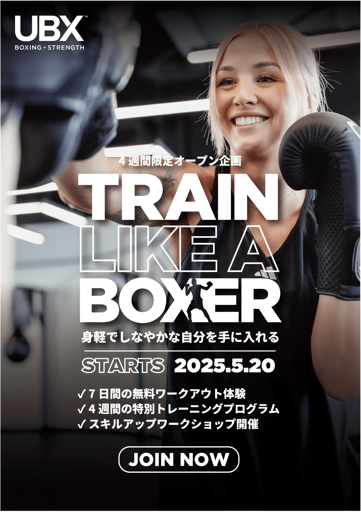 TrainlikeaboxerA4