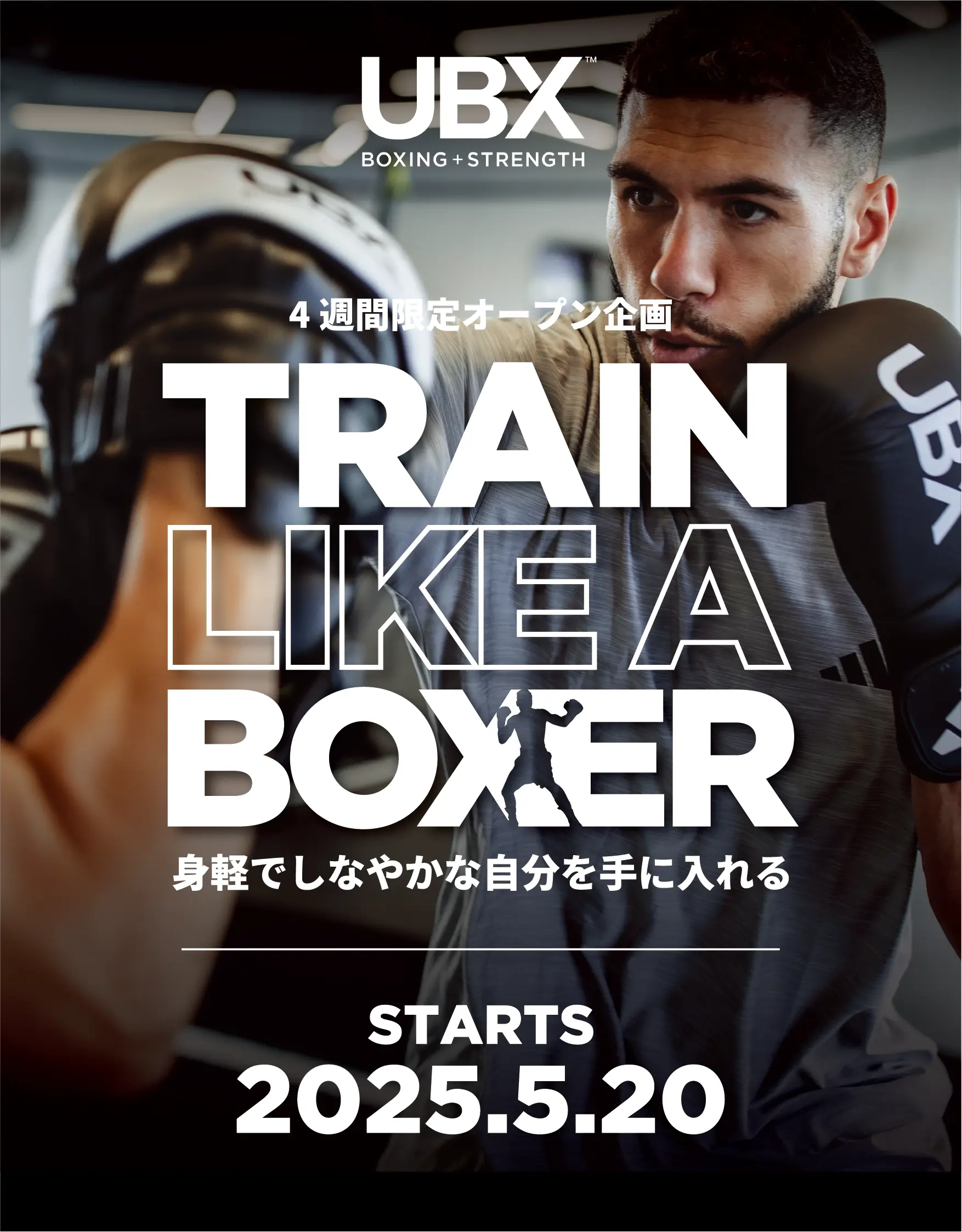 TRAIN LIKE A BOXER プログラム案内